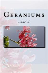 Geraniums