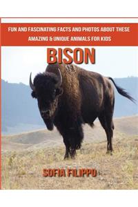Bison