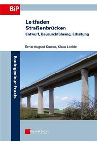 Leitfaden Strassenbrucken