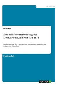 Eine kritische Betrachtung des Dreikaiserabkommens von 1873