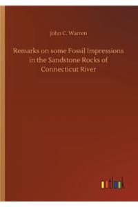 Remarks on some Fossil Impressions in the Sandstone Rocks of Connecticut River