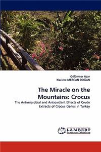 Miracle on the Mountains