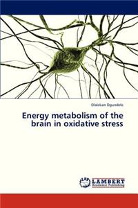 Energy Metabolism of the Brain in Oxidative Stress