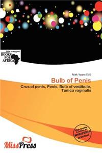Bulb of Penis