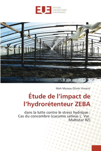 Étude de l'impact de l'hydrorétenteur ZEBA