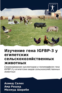 Изучение гена Igfbp-3 у египетских сельскохозn
