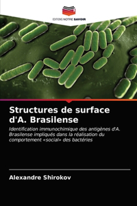 Structures de surface d'A. Brasilense