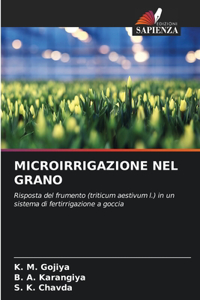 Microirrigazione Nel Grano