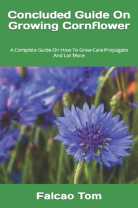 Concluded Guide On Growing Cornflower