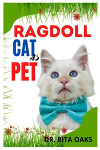 Ragdoll Cat as Pet