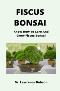 Fiscus Bonsai