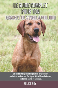 Le guide complet pour ton Brachet De Styrie À Poil Dur