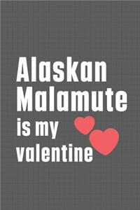 Alaskan Malamute is my valentine
