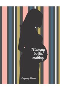 Mummy in The Making: Detailed Pregnancy Planner and Organizer - Cute Funny Pregnancy Planner Journal - Neutral Multicolored Striped Design