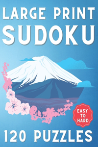 Large Print Sudoku