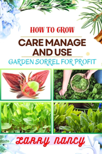 How to Grow Care Manage and Use Garden Sorrel for Profit