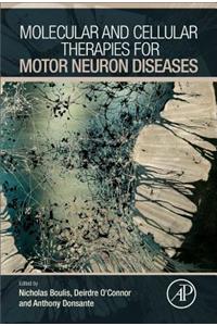 Molecular and Cellular Therapies for Motor Neuron Diseases