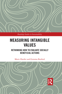 Measuring Intangible Values