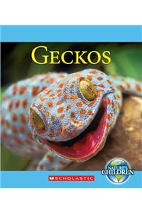 Geckos