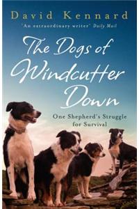 Dogs of Windcutter Down