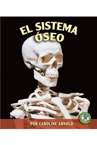 El Sistema Óseo (the Skeletal System)