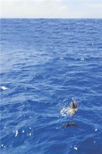 Journal Kauai Dolphins 150 Lined Sheets Blue