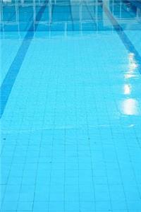 Swim Journal