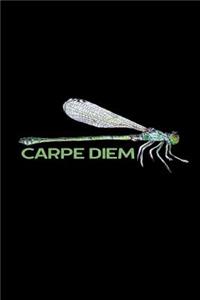 Carpe Diem