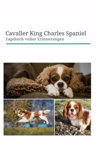 Cavaller King Charles Spaniel Tagebuch voller Erinnerungen