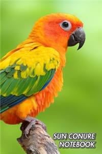 Sun Conure Notebook