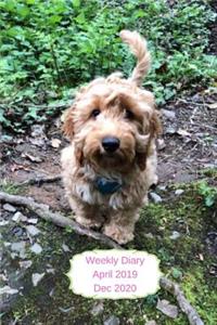 Weekly Diary April 2019-Dec 2020