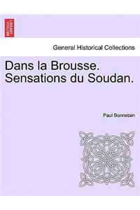 Dans La Brousse. Sensations Du Soudan.