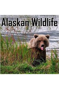 Alaskan Wildlife 2017