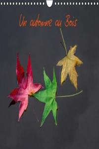 Automne Au Bois 2018