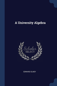 A University Algebra