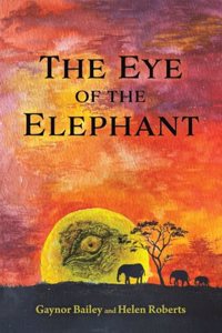 Eye of the Elephant