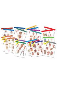 Netter Anatomy Charts