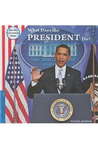 What Does the President Do?