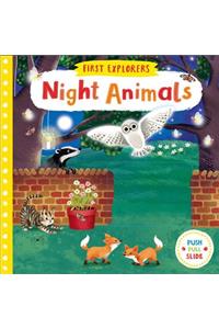 Night Animals