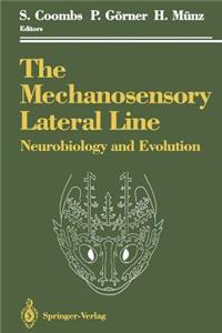 Mechanosensory Lateral Line