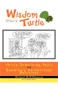 Wisdom from a Turtle