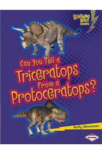 Can You Tell a Triceratops from a Protoceratops?