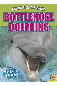 Bottlenose Dolphins