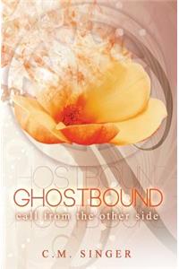Ghostbound 2: Call from the Other Side