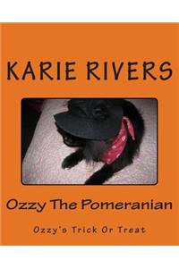 Ozzy The Pomeranian
