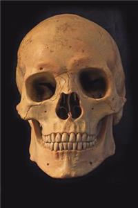 The Human Skull Journal