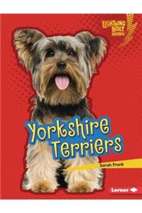 Yorkshire Terriers