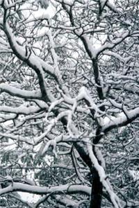 Winter Theme Journal Twisted Winter Branches