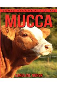 Mucca