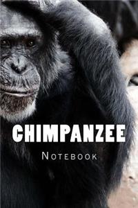 Chimpanzee